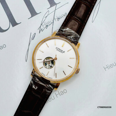 ĐỒNG HỒ CITOLE NAM DA CT9089